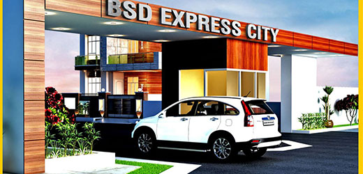 About BSD Projects