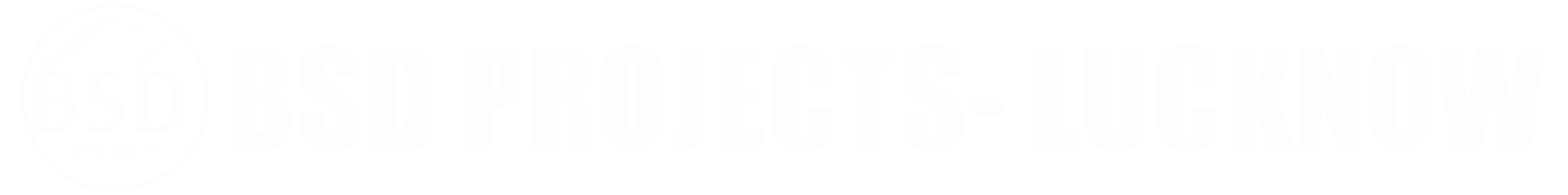light logo